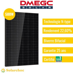 Panneau solaire DMEGC 500W Cadre noir Transparent Bifacial N-type DM500M10RT- B60HBT 