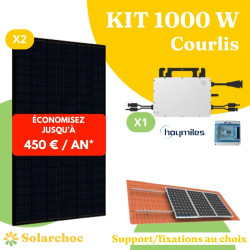 Kit solaire 1000W Autoconsommation 2 panneaux JOLYWOOD 500W + 1 micro-onduleur HOYMILES HMS1000W 2T Courlis