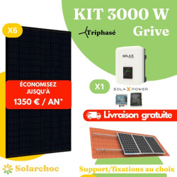 Kit solaire 3000W Autoconsommation 6 panneaux JOLYWOOD 500W + 1 onduleur SOLAX X3 MIC 3.0T Grive