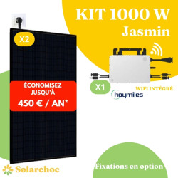 Kit solaire 1000W Plug&Play Autoconsommation 2 panneaux JOLYWOOD 500W + 1 micro onduleur HOYMILES HMS1000W2T Wifi intégré Jasmin