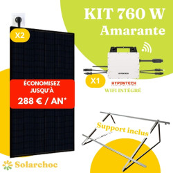 Kit solaire 760W Plug&Play Autoconsommation 2 panneaux solaires JOLYWOOD 380W+1 micro-onduleur HYPONTECH HMS800C Amarante