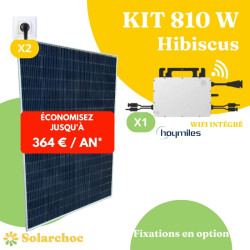 Kit solaire 810W Plug&Play Autoconsommation 2 panneaux 405W JOLYWOOD+1 micro onduleur HOYMILES HMS800W 2T wifi intégré  Hibiscus