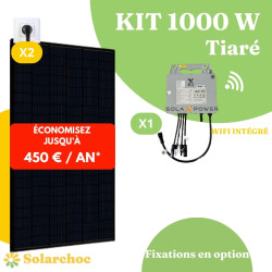 Kit solaire 1000W Plug&Play Autoconsommation 2 panneaux JOLYWOOD 500W + 1 micro onduleur SOLAX 1000W Wifi intégré X1 Tiaré