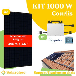 Kit solaire 1000W Autoconsommation 2 panneaux DMEGC 500W + 1 micro-onduleur HOYMILES HMS1000 Wifi OU Radio 2T Courlis