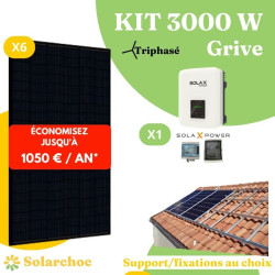 Kit solaire 3000W Autoconsommation 6 panneaux DMEGC 500W + 1 onduleur SOLAX X3 MIC 3.0T Grive