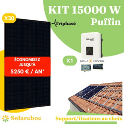 Kit solaire 15000W Autoconsommation 30 panneaux DMEGC 500W + 1 onduleur SOLAX X3 MIC 15.0T Puffin