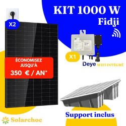 Kit solaire 1000W Plug&Play Autoconsommation 2 panneaux DMEGC 500W + 1 micro onduleur DEYE 1000W Wifi intégré X1 Fidji