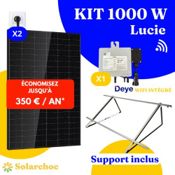 Kit solaire 1000W Plug&Play Autoconsommation 2 panneaux DMEGC 500W + 1 micro onduleur DEYE 1000W Wifi intégré X1 Lucie