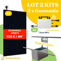 Lot 2 Kits solaires 2000W (2x1000W) Plug&Play 4 panneaux DMEGC 500W + 2 micro-onduleurs HOYMILES HMS1000W