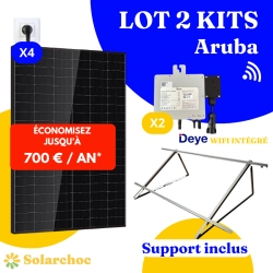 Kit solaire 1000W Plug&Play Autoconsommation 2 panneaux DMEGC 500W + 1 micro onduleur DEYE 2000W Wifi intégré X1 Lucie