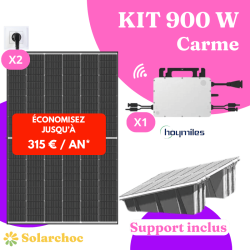 Kit solaire 900W Plug&Play Autoconsommation 2 panneaux TRINA 450W + 1 micro onduleur HOYMILES HMS800W 2T wifi Intégré Carme