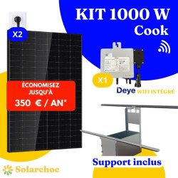 Kit solaire 1000W Plug&Play Autoconsommation 2 panneaux DMEGC 500W + 1 micro onduleur DEYE 1000W Wifi intégré X1 Cook