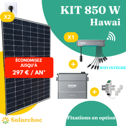 Kit solaire 850W Plug&Play Autoconsommation avec Micro-onduleur  + Batterie ZENDURE Hawaï