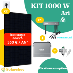 Kit solaire 1000W Plug&Play Autoconsommation avec Micro-onduleur  + Batterie ZENDURE Ari